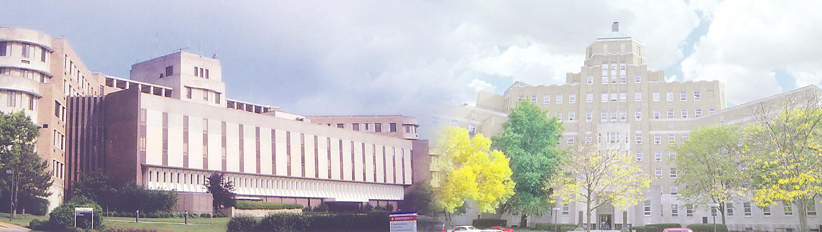 Site Picture